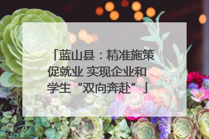 蓝山县：精准施策促就业 实现企业和学生“双向奔赴”